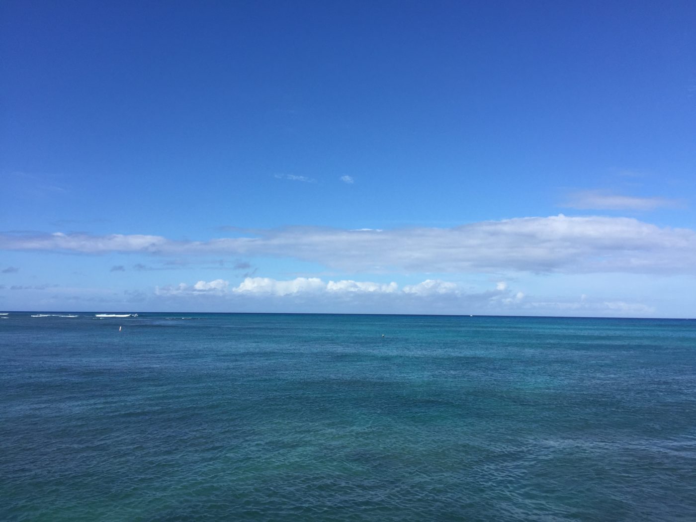 1歳児とハワイ旅行！4日目〜ハワイの海を眺めながらエッグ ベネディクトを食べれるレストラン「ハウツリーラナイ」